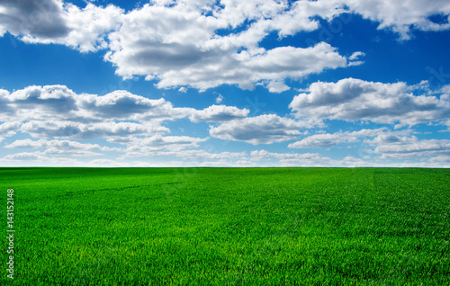 Image of green grass field and bright blue sky