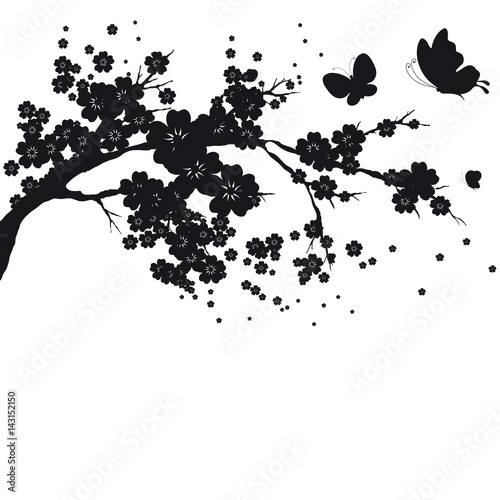 black flowers branch, isolated on a white