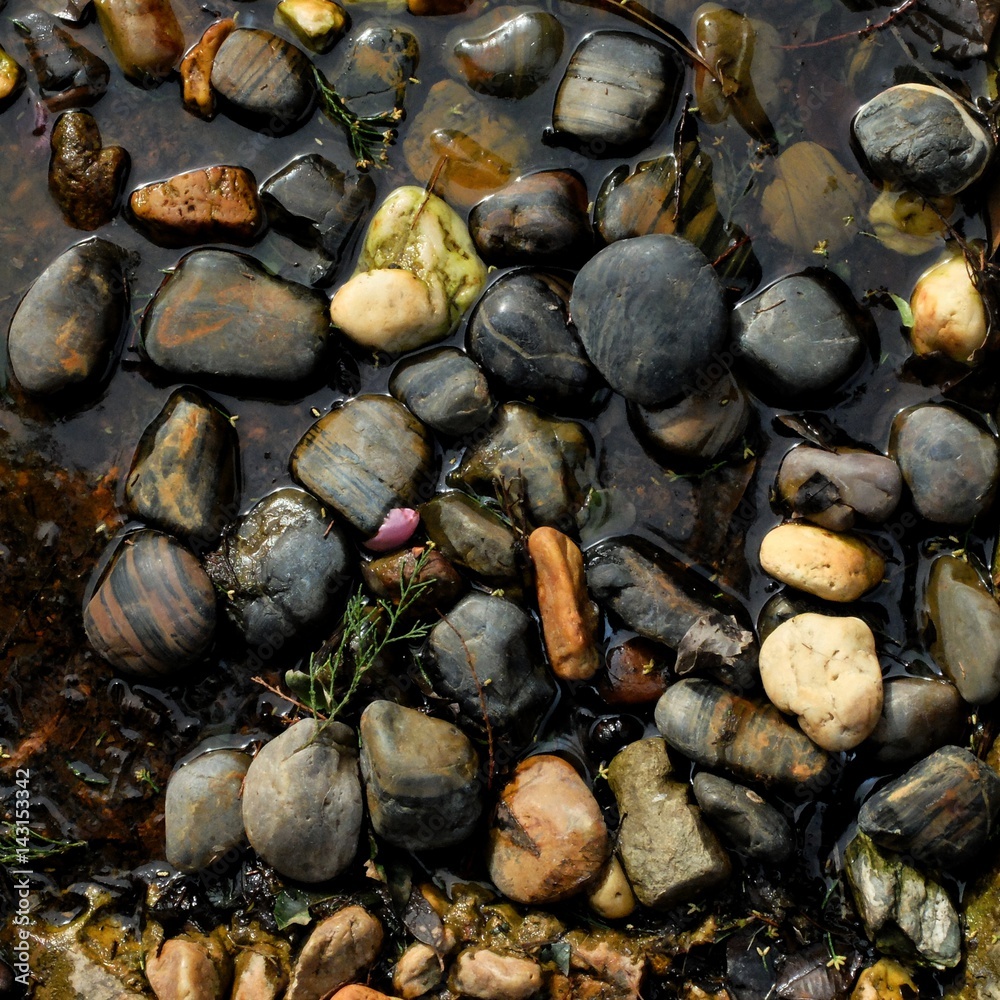 tiny stones gravel texture background,Color stone in background. small stone in rough pattern. wet stone floor tiny stones gravel texture background,Color stone in background. small stone in rough pattern. wet stone floor