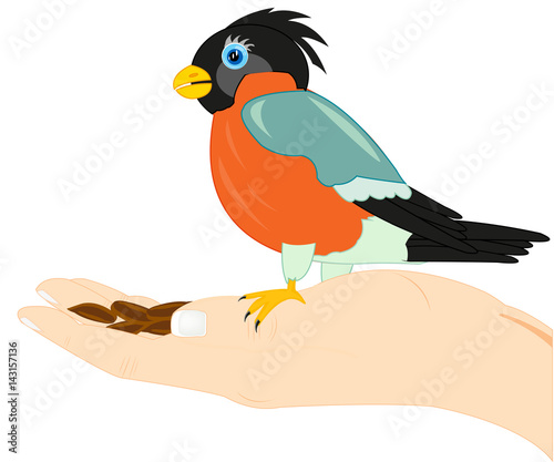 Birdie on palm of the person