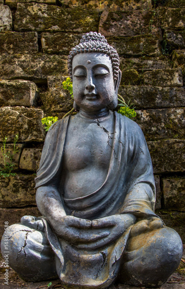 Buddha Buddha