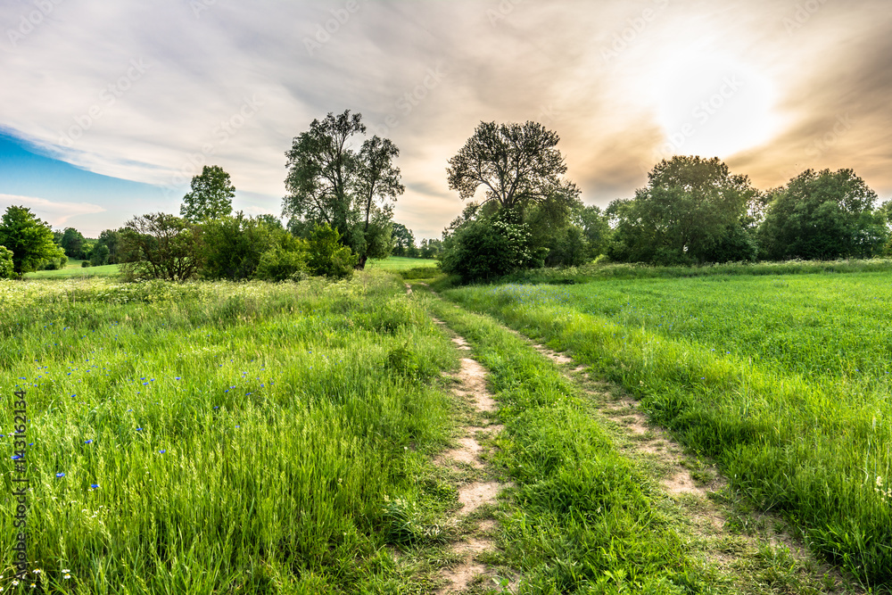 Obraz premium Dirt road and green field landscape with moody sky before sunset