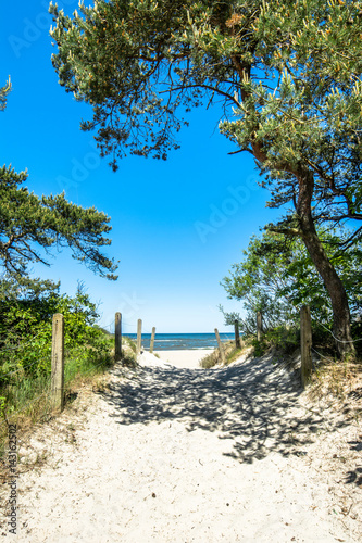 Fototapeta Naklejka Na Ścianę i Meble -  Entrance to the beach sea in the summer, landscape..