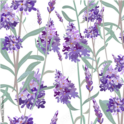 Seamless pattern with hand drawn lavender