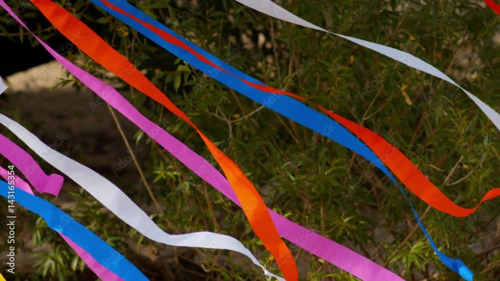 colored ribbons tied to a tree, swaying in the wind.