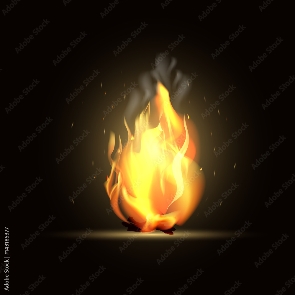 Realistic burning fire flame. Vector illustration