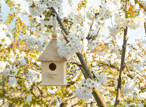 Birdhouse in Spring with blossom cherry flower