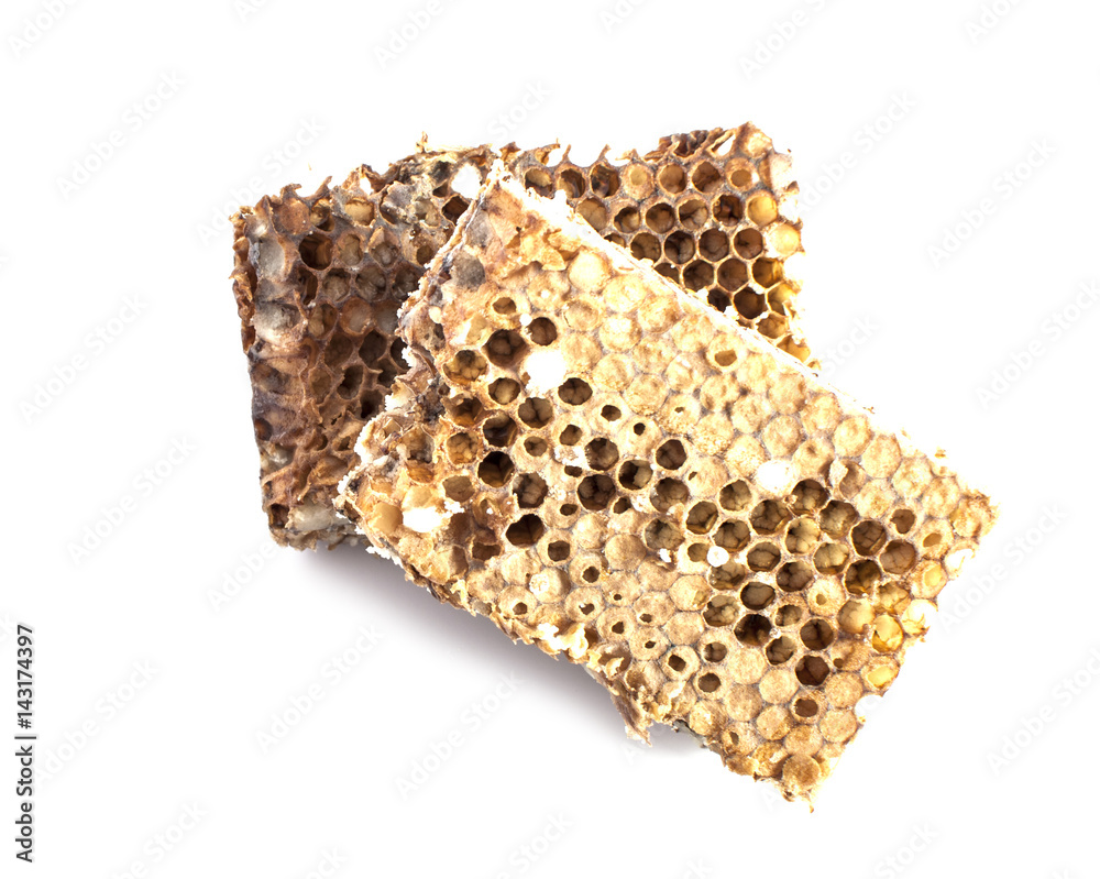 Honeycombs in closeup Honeycombs in closeup