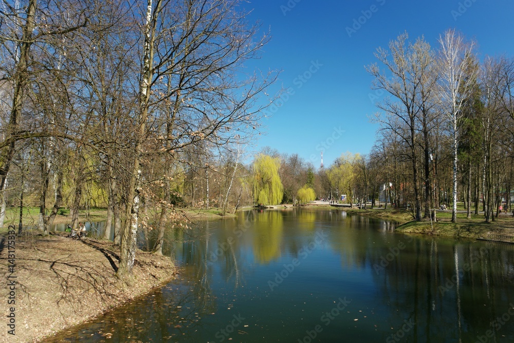 Lake in the city park in early spring