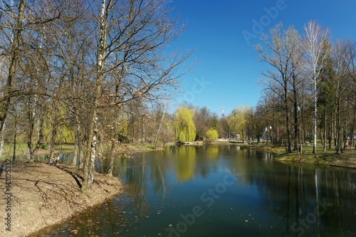 Lake in the city park in early spring