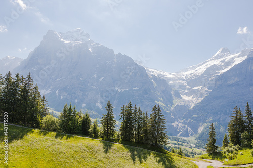 Grindelwald, Dorf, Bort, First, Schreckhorn, Grindelwaldgletscher, Wanderweg, Alpen, Schweizer Berge, Sommer, Schweiz © bill_17