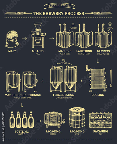 Vector beer infographics with illustrations of brewery process. Ale producing design. Lager production sketched scheme.
