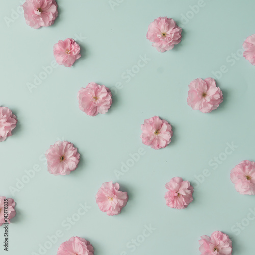Fototapeta Naklejka Na Ścianę i Meble -  Pink flower pattern on blue pastel background. Minimal spring concept. Flat lay.