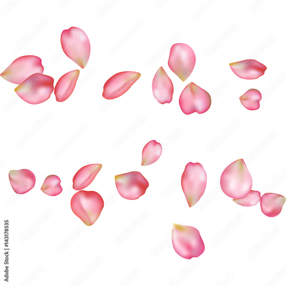 Sakura blossoms blank background template. Stock-Vektorgrafik | Adobe Stock