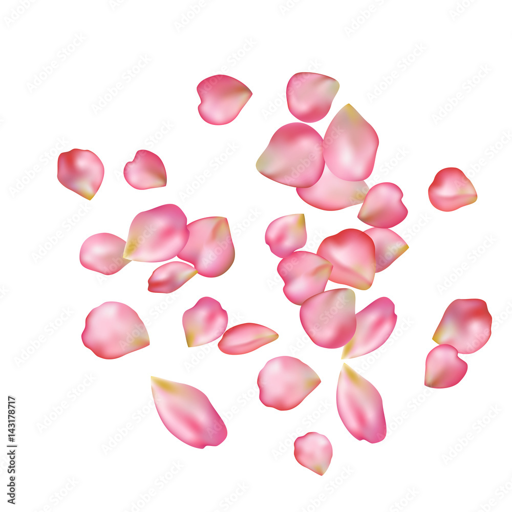 Sakura blossoms blank background template. Sakura blossoms blank background template.