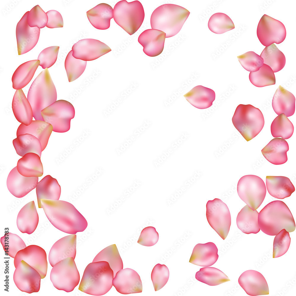 Sakura blossoms blank background template. Stock-Vektorgrafik | Adobe Stock