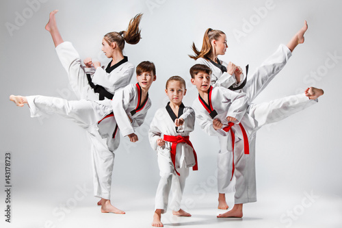 Fototapeta The studio shot of group of kids training karate martial arts