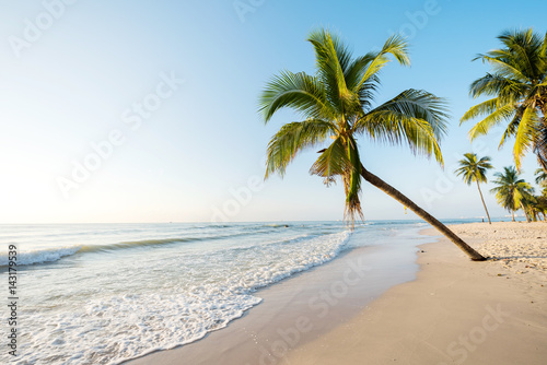 Fototapeta Naklejka Na Ścianę i Meble -  Beauitful tropical beach in the morning with coconut tree palm