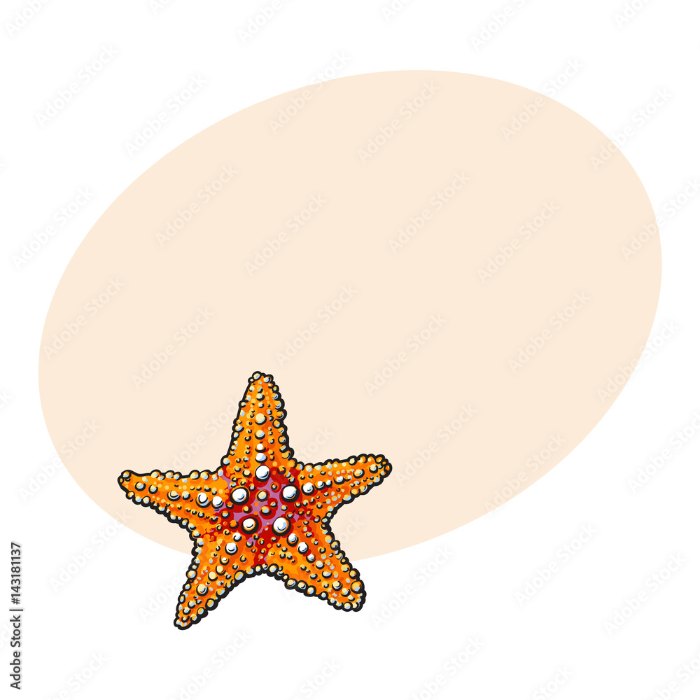 3D Render of Starfish stock illustration. Illustration of star - 105706637