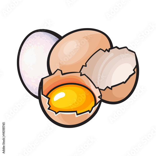 Whole and cracked, broken chicken egg with yolk inside, sketch style vector illustration isolated on white background. Hand drawn, sketched raw, uncooked chicken eggs, whole and broken