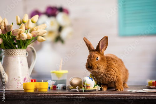 Beautiful red-haired rabbit sitting on a wooden board on a blue background,Little rabbit on wooden table.rabbits with Easter eggs,Funny little rabbit among Easter eggs