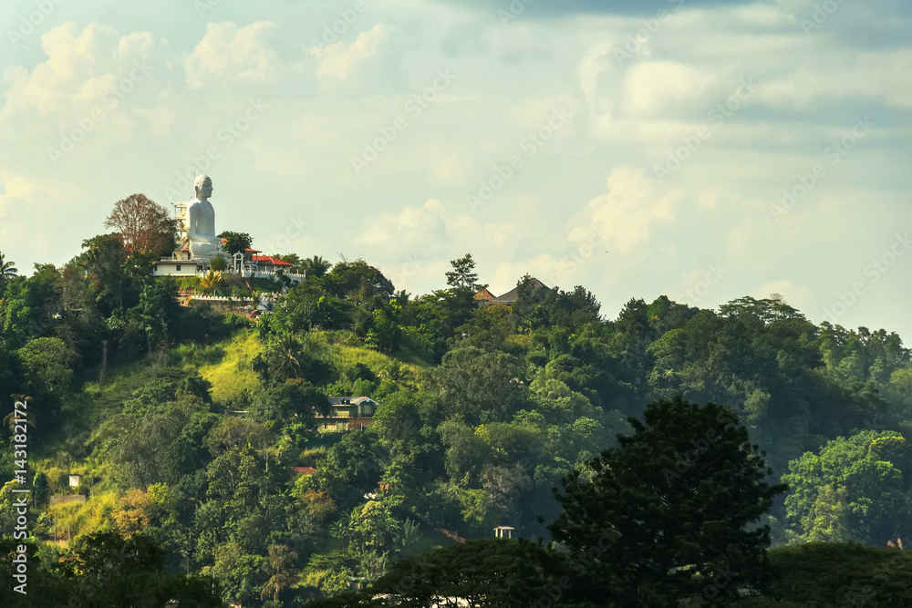 Sri Lankan landscape with big Buddah statue