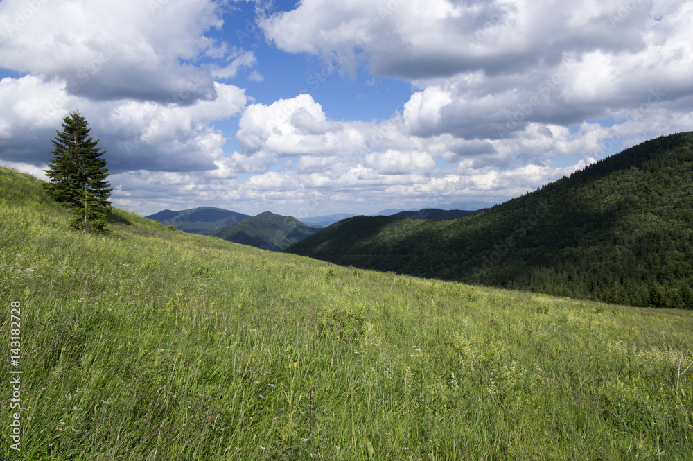 Mala Fatra mountains in Slovakia, meadow, grassland