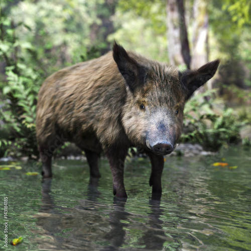 Wild boar in its natural habitat . 3d rendering