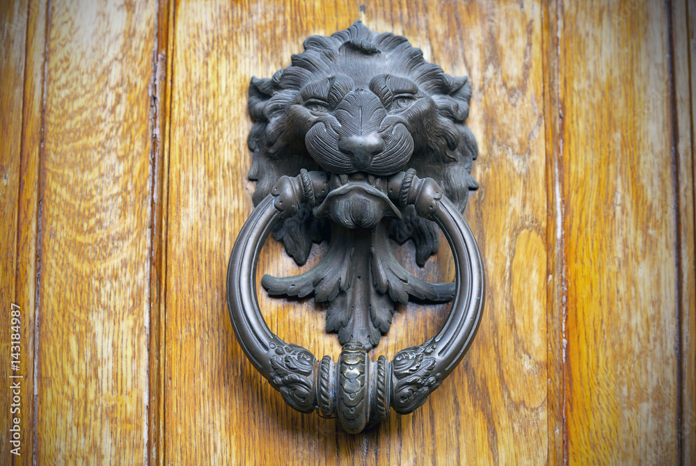 Ancient Knocker in Italy, Lion Head Door Knocker Ancient Knocker in Italy, Lion Head Door Knocker