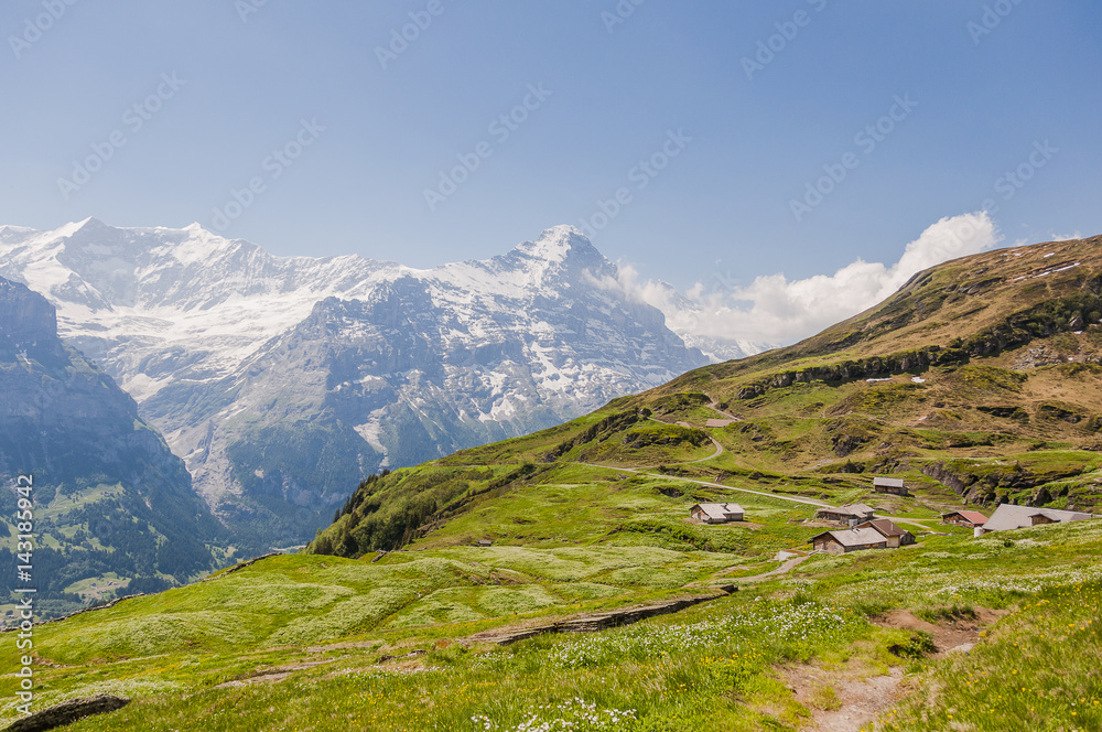 Grindelwald, Berner Oberland, First, Waldspitz, Alm, Wanderweg, Eiger, Eigernordwand, Bergwiesen, Kräuter, Alpen, Sommer, Schweiz