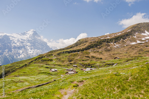 Grindelwald, First, Waldspitz, Wanderweg, Alm, Alpen, Eiger, Eigernordwand, Schweizer Berge, Sommer, Sommerwanderung, Schweiz