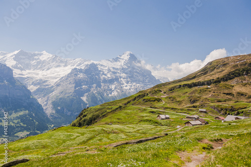 Grindelwald, Berner Oberland, First, Waldspitz, Alm, Wanderweg, Eiger, Eigernordwand, Bergwiesen, Kräuter, Alpen, Sommer, Schweiz