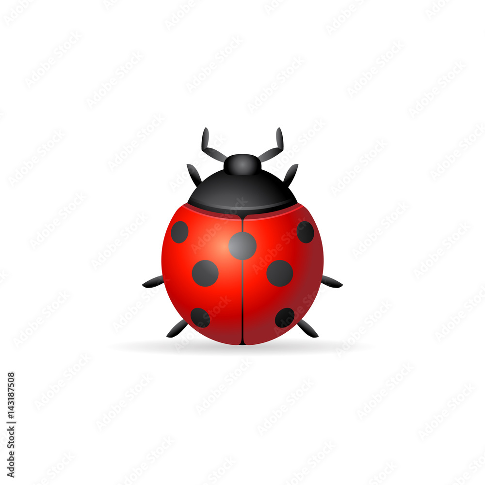 Color Icon - Bug Color Icon - Bug