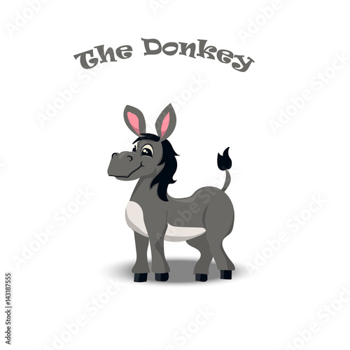 happy and cheerful donkey