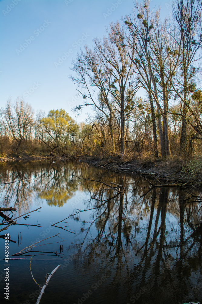 Wild nature on abandoned meander Danube protected area on spring