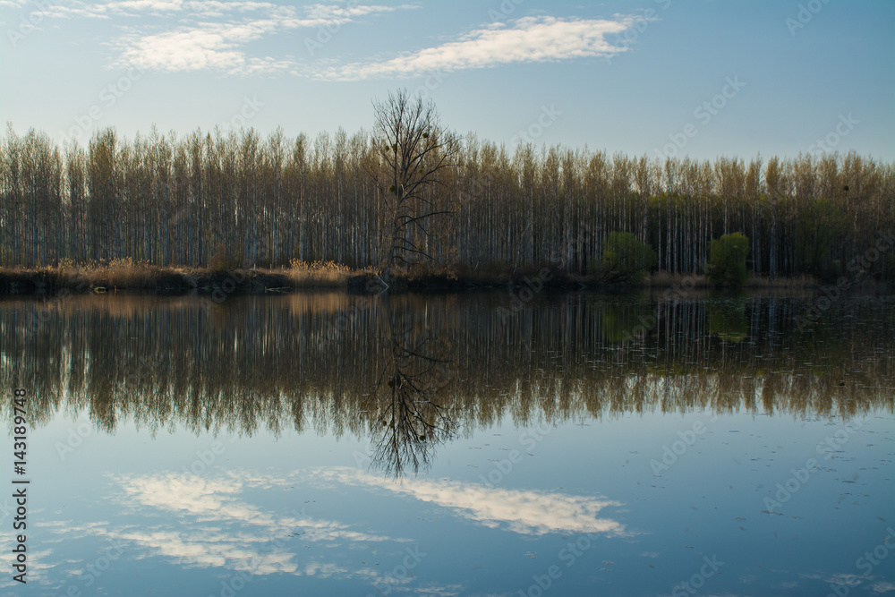 Wild nature on abandoned meander Danube protected area on spring Wild nature on abandoned meander Danube protected area on spring