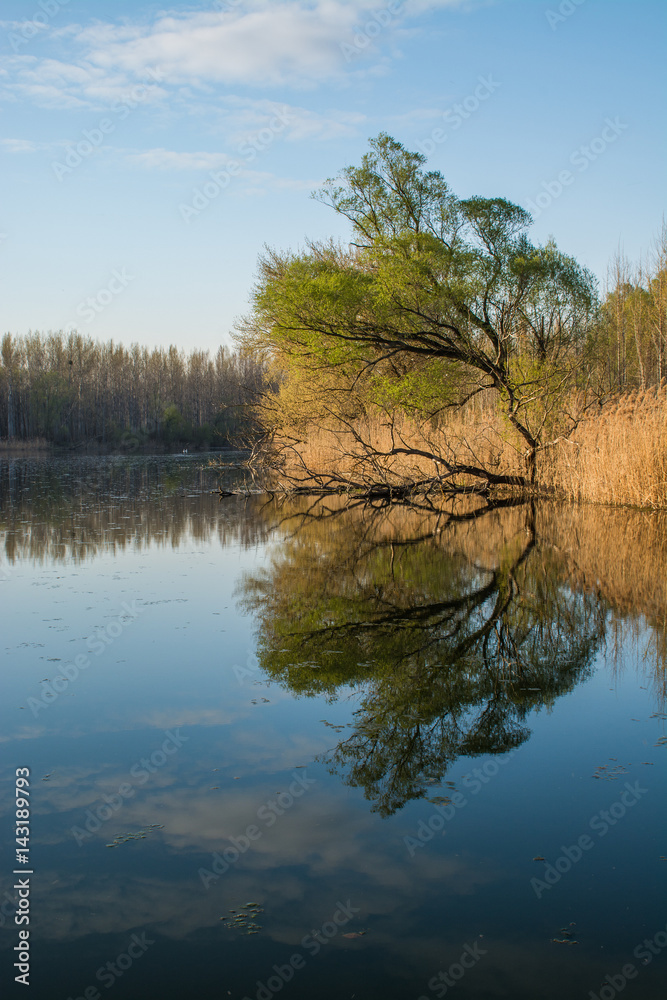 Wild nature on abandoned meander Danube protected area on spring Wild nature on abandoned meander Danube protected area on spring