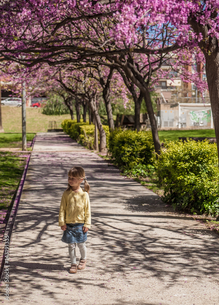 Little girl under cherry blossom 