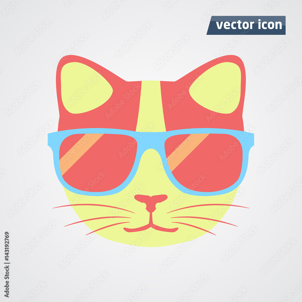 cat in sunglasses vector illustration