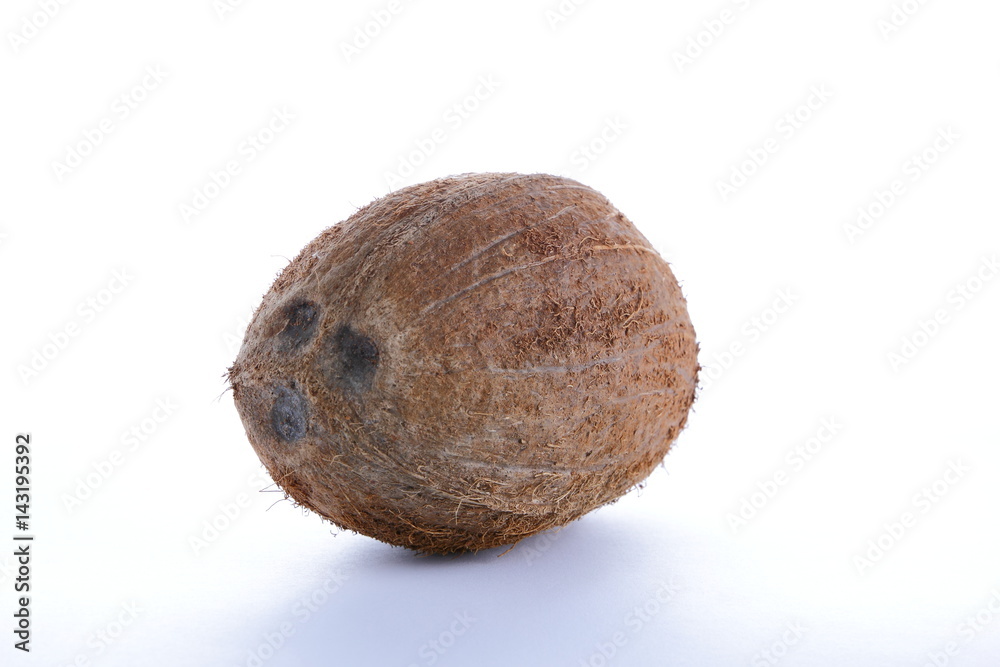 Coconut Coconut