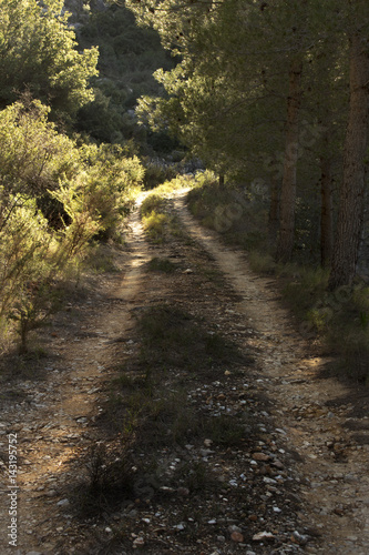 To where does the road lead?