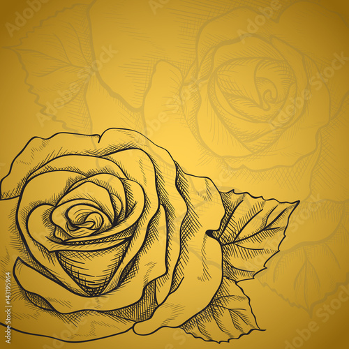 Sketch rose flower