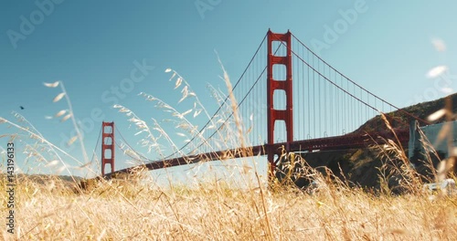 Golden Gate Bridge & Golden Grass Meadow Scenic, San Francisco California