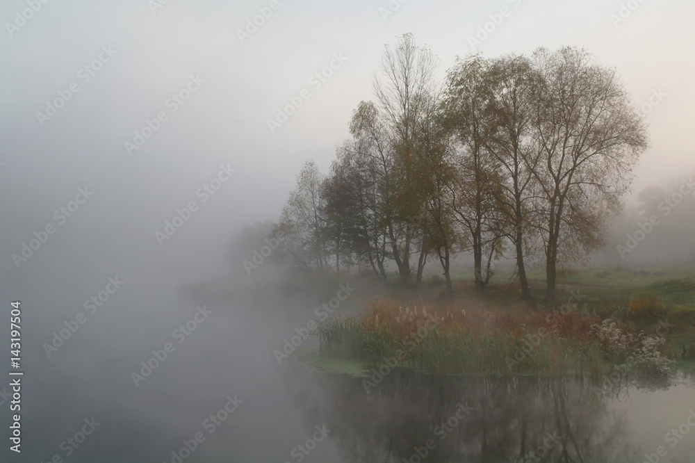 autumn landscape with yellow tree on coast of the river autumn landscape with yellow tree on coast of the river