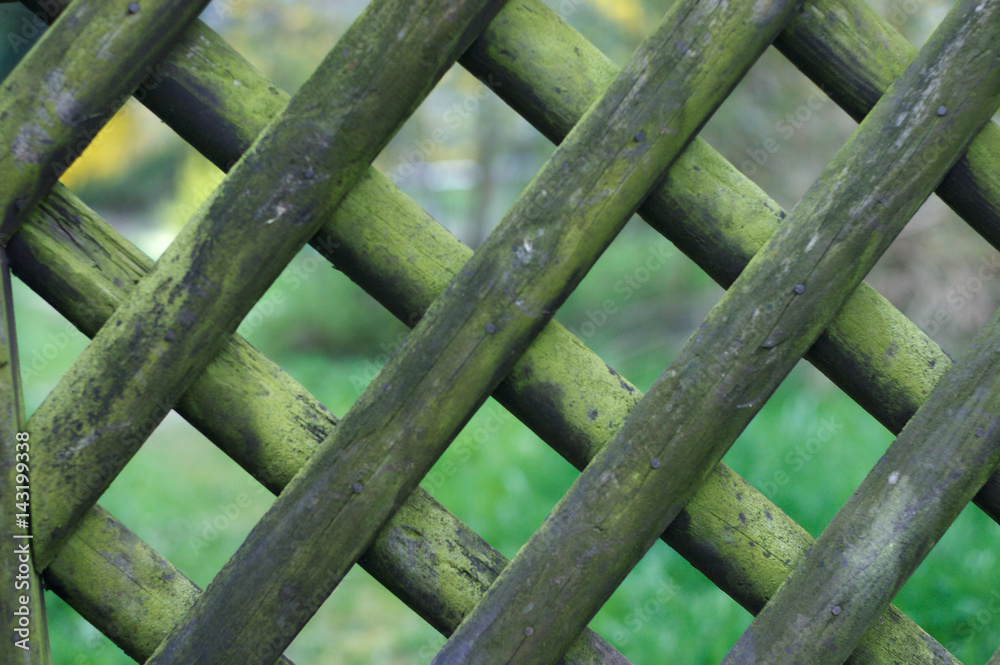 Zaun aus Holzgitter Zaun aus Holzgitter