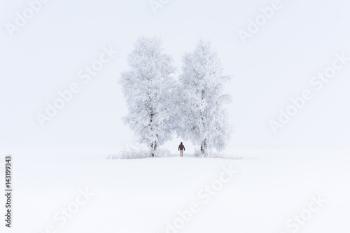 Fotografie Lonely man walking in the whiteout - winterwonderland in the german alps
