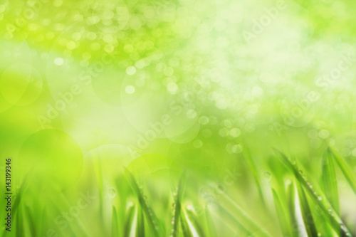 abstract spring background