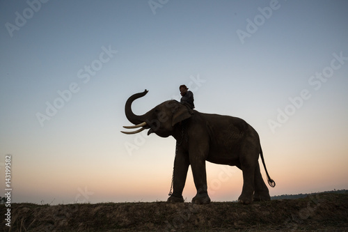 Thailand Mahout man and elephant silhouette on the park sunrise
