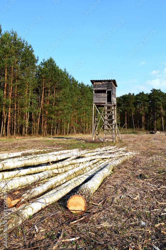 Ambona My liwska W Lesie Stock Photo Adobe Stock ambona-my-liwska-w-lesie-stock-photo-adobe-stock