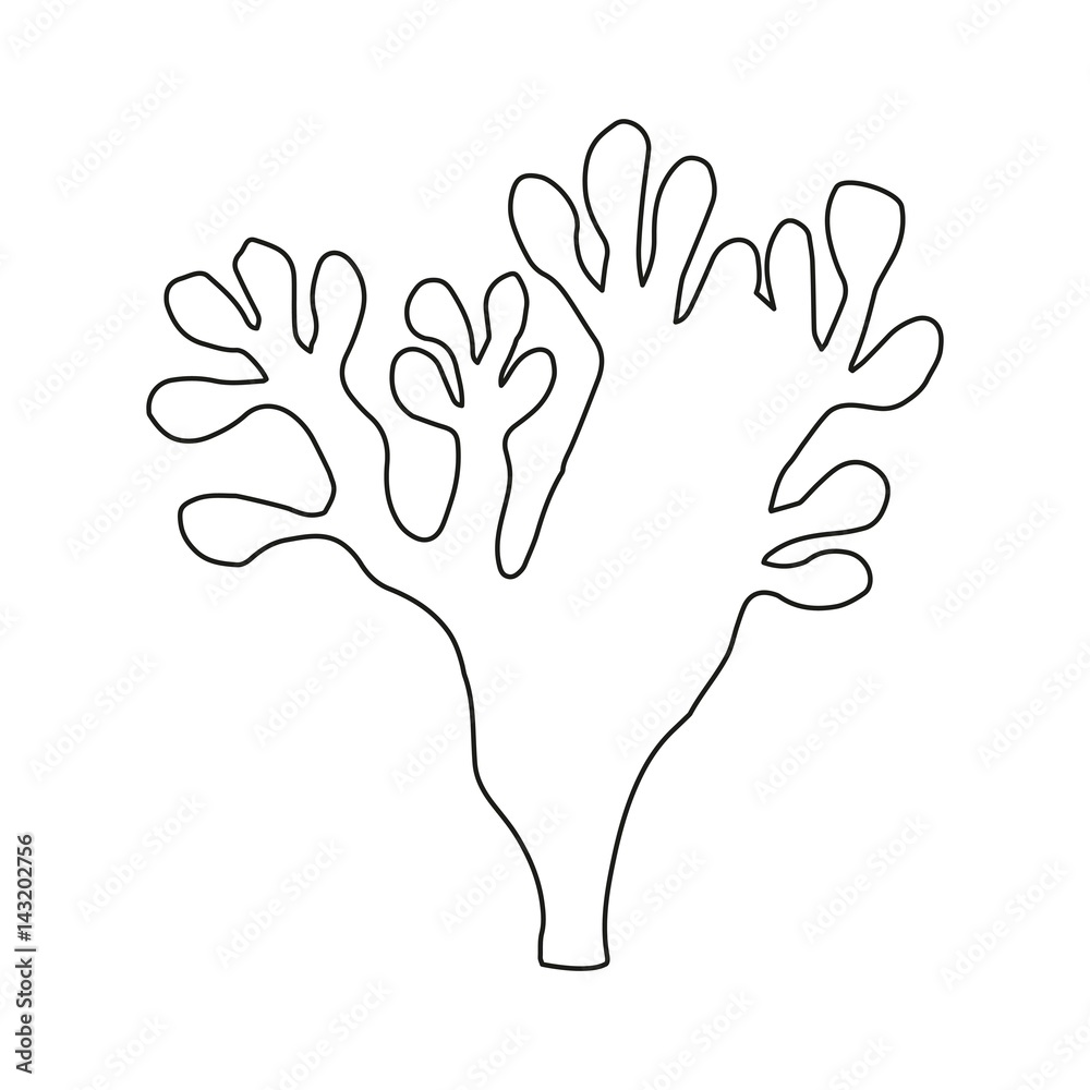 Coral linear sketch vector Coral linear sketch vector